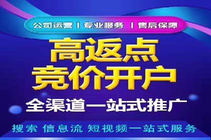百度搜索推广实战技巧：成功案例启示录